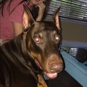 Meet your Posher, Victoria